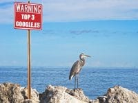 La verdad de SEO BirdLife