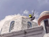 Lady Halcón Viajes