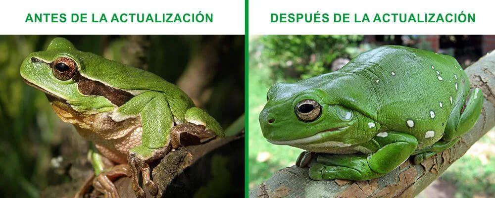 Antes y después de la actualización de Screaming Frog